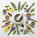 Wellness Champion Membership ( $800/ monthly) Subscription